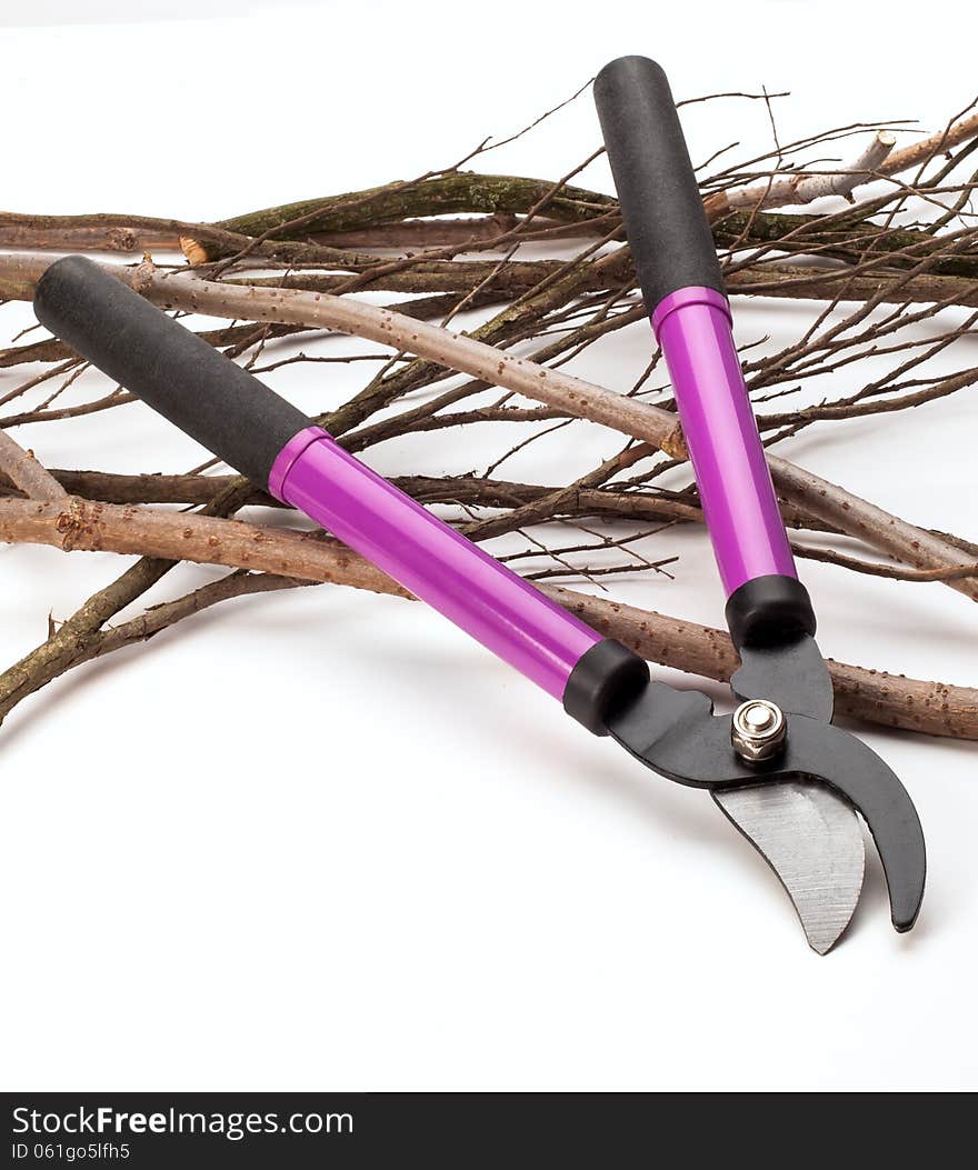 Tree Pruning Tools