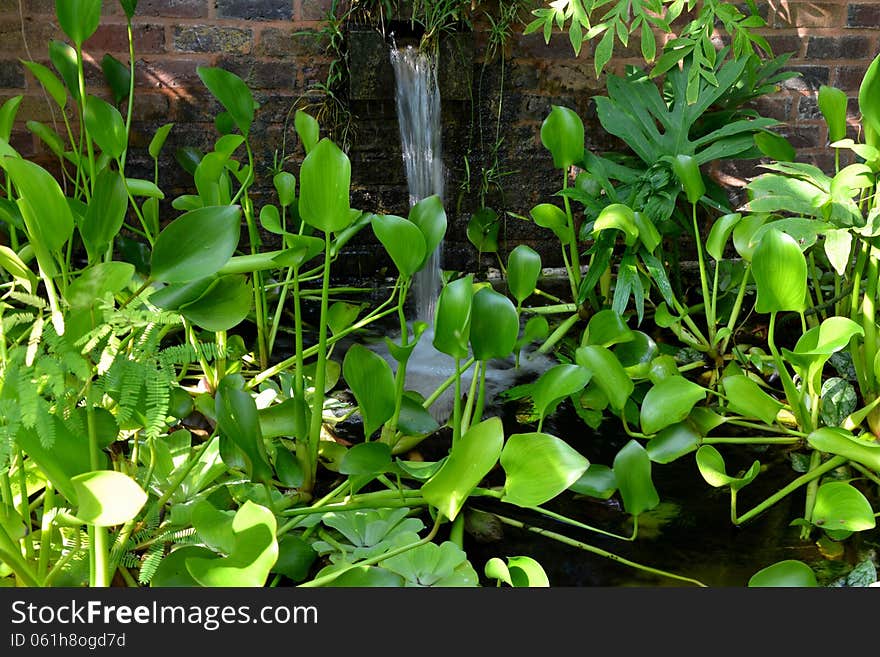 Plants at an indoor garden.