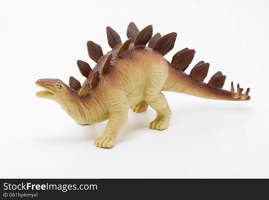 Stegosaurus On White