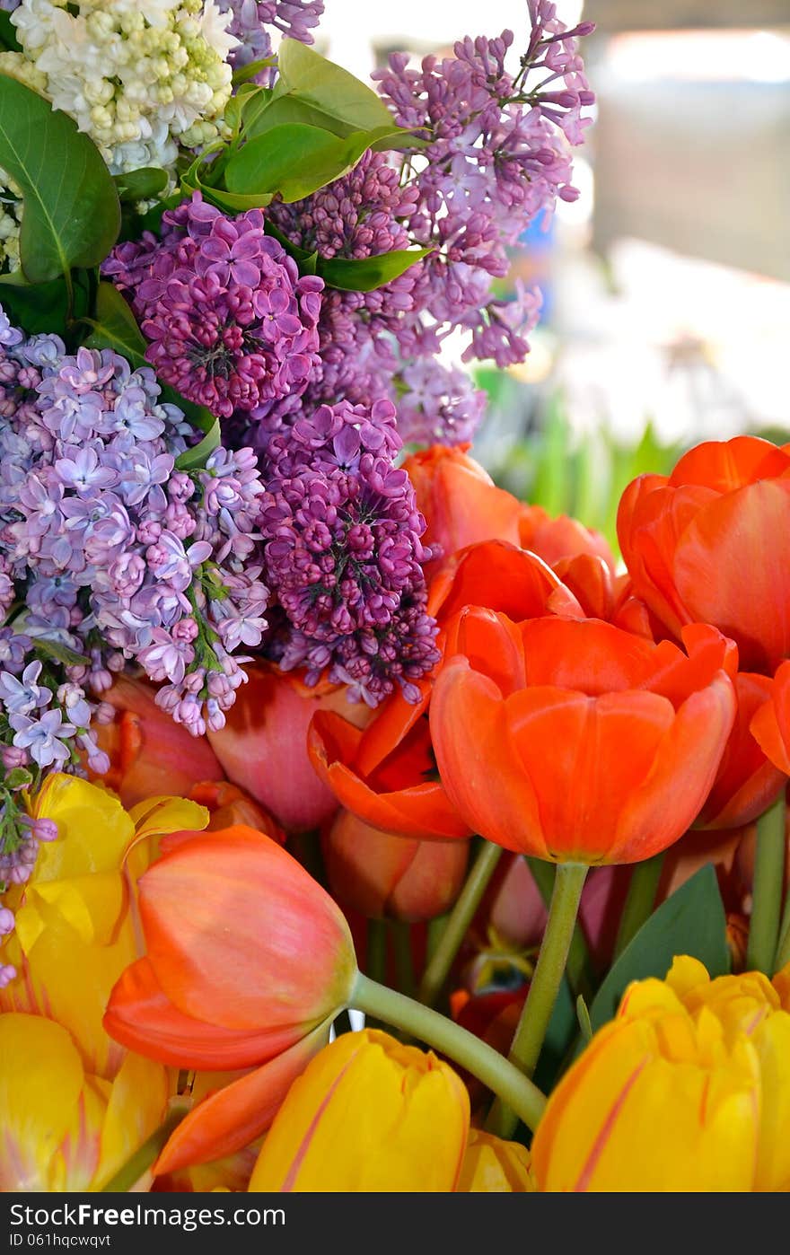 Lilacs and tulips