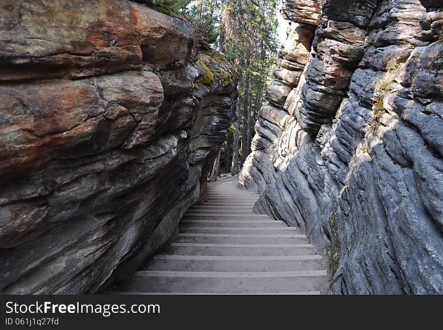 Steps leading down a path in a park in Alberta. Steps leading down a path in a park in Alberta