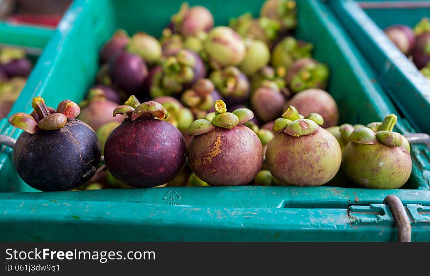 Variable Of Mangosteens