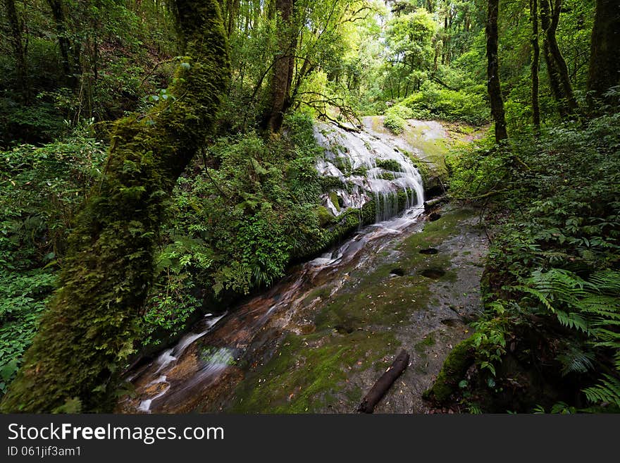 Waterfall in the forest