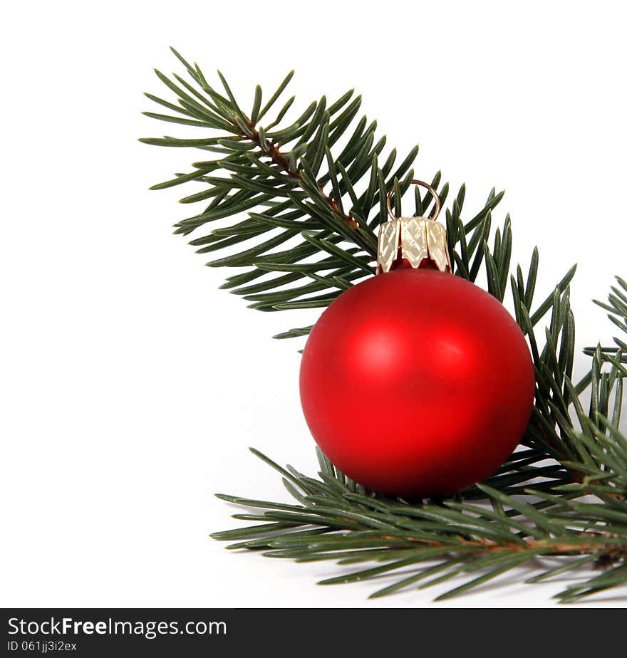 Red bauble with the twig of the spruce on the white background