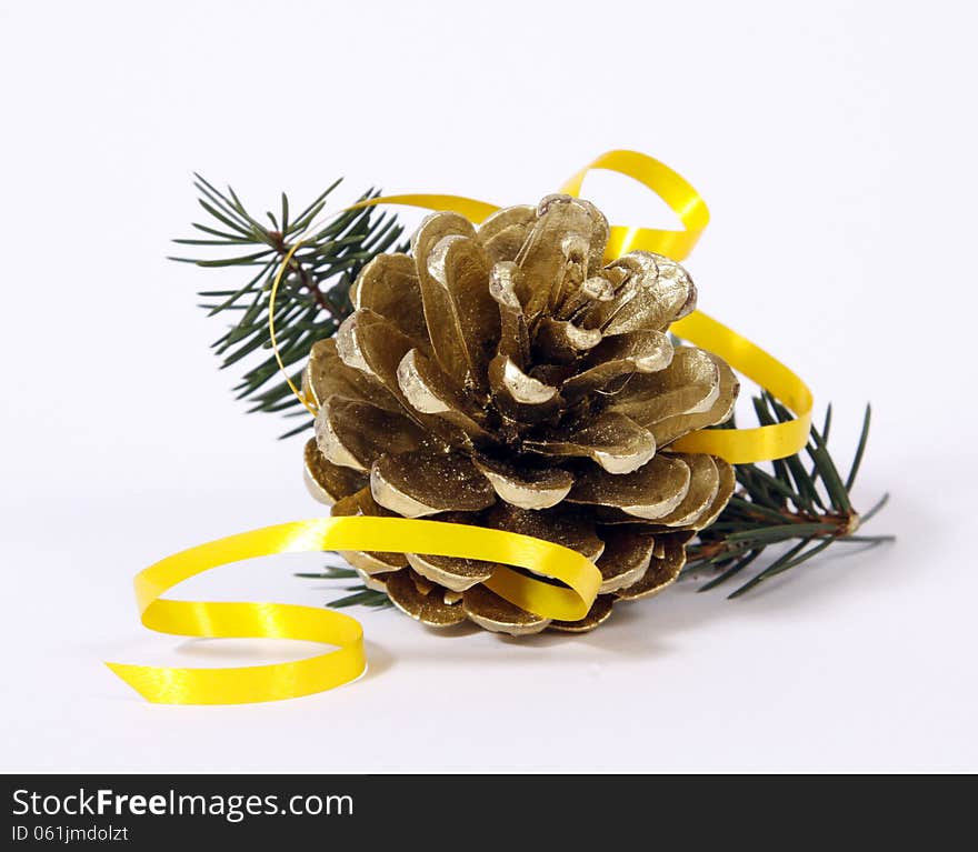 Cone on twigs of the spruce. Cone on twigs of the spruce