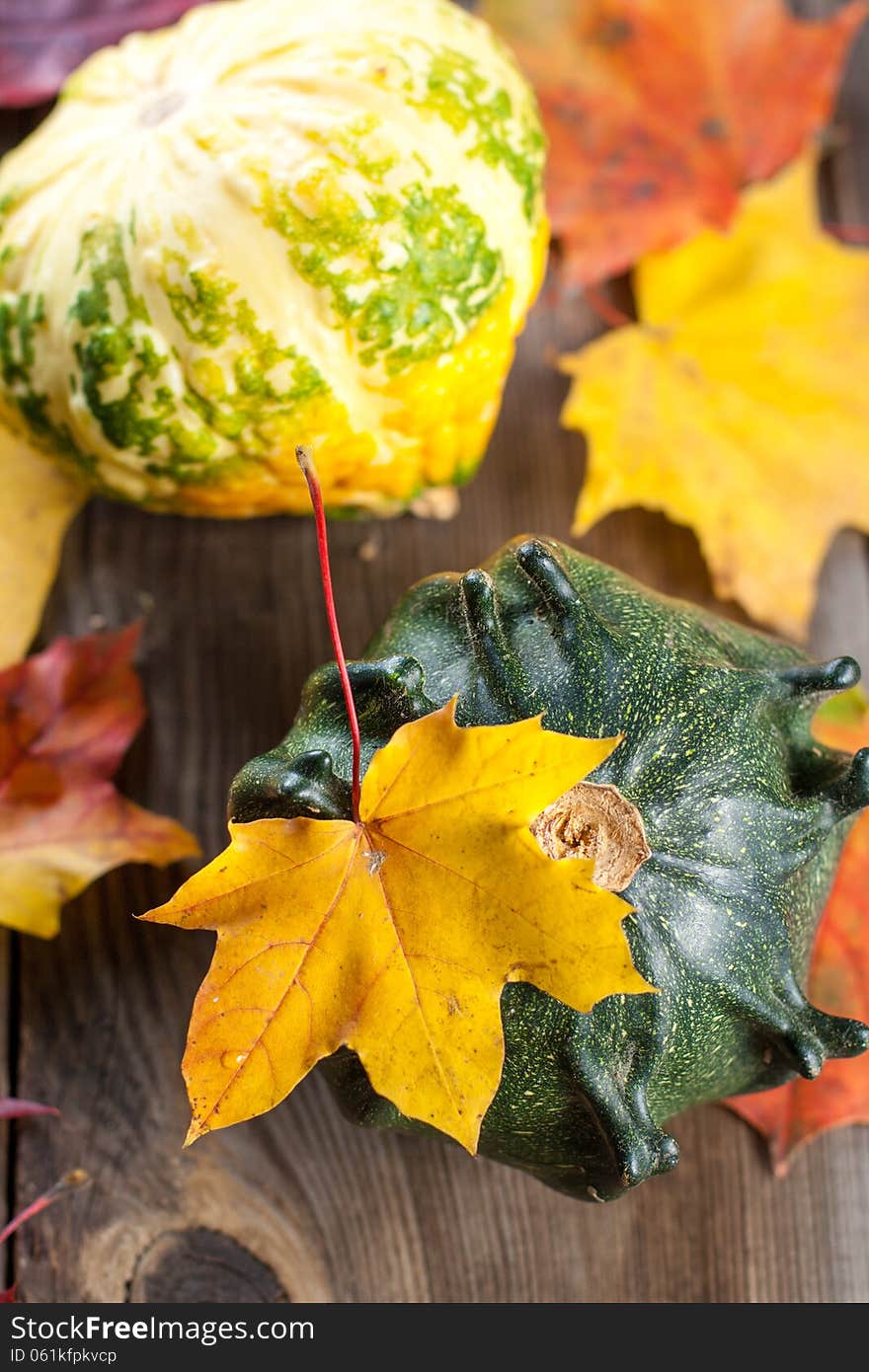 Autumn pumpkins with leaves on wooden board