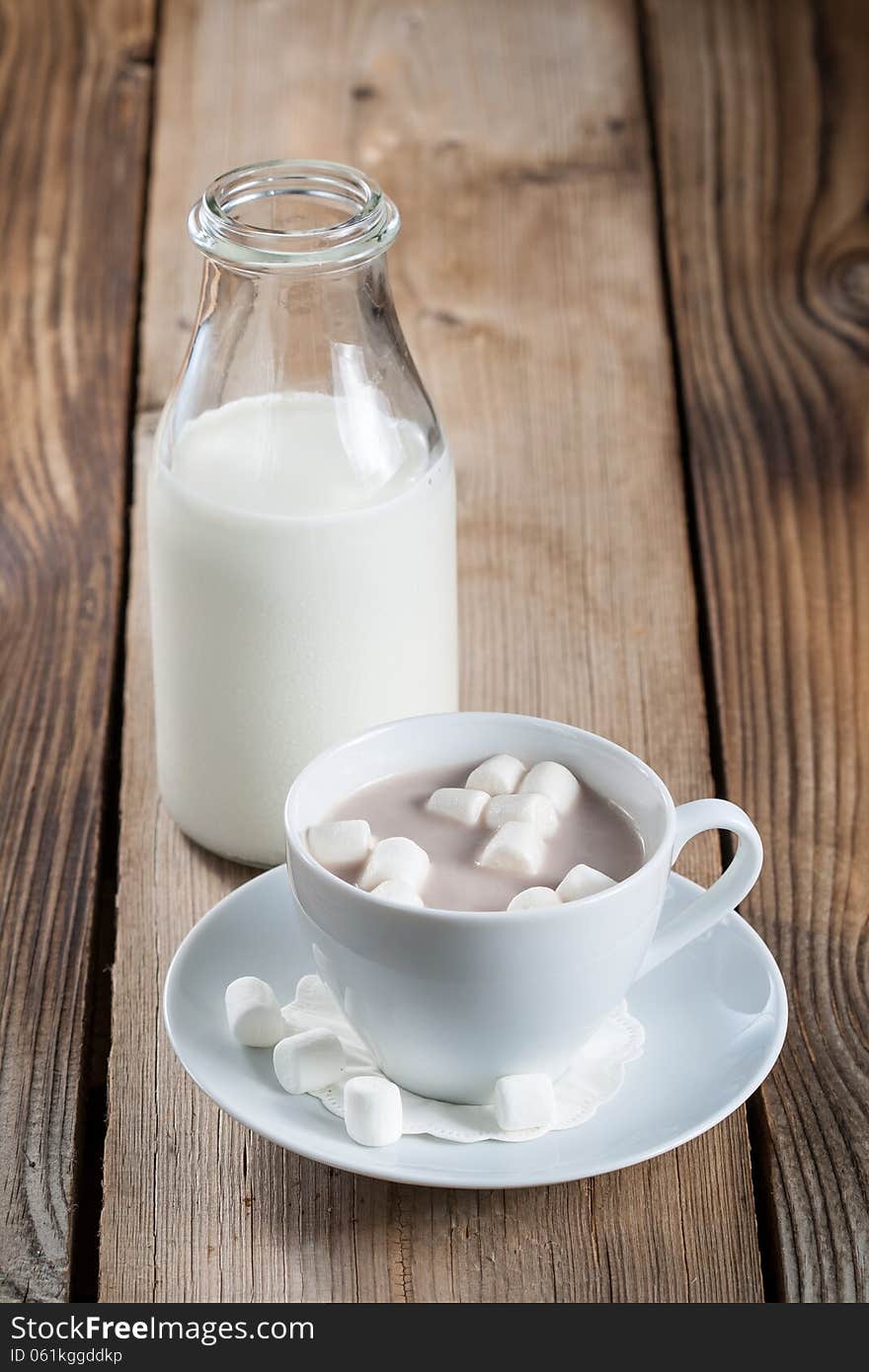 Cup of Hot Chocolate with marshmallows