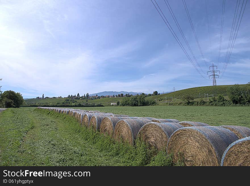 Rural Landscape