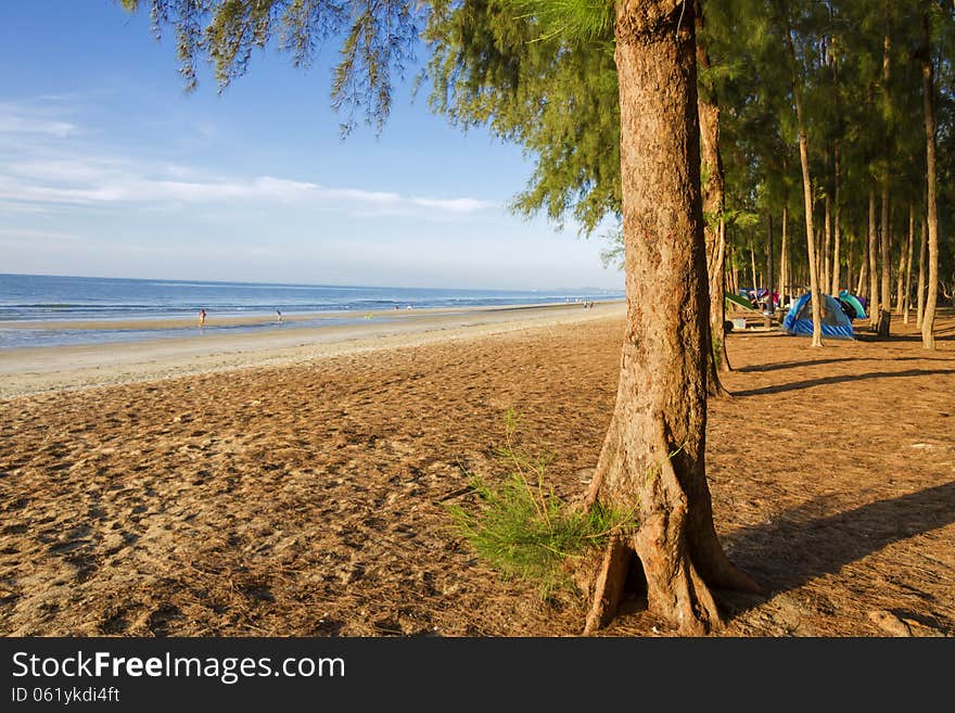 People camping on beach pine at beach Nava Gorn at sea of country, Thailand. People camping on beach pine at beach Nava Gorn at sea of country, Thailand