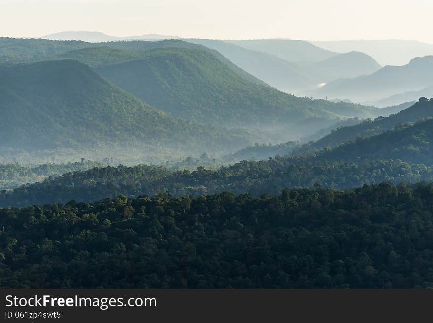 Foggy mountain forest valley