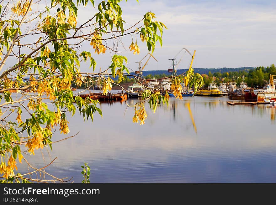 View of the river port through tree branches