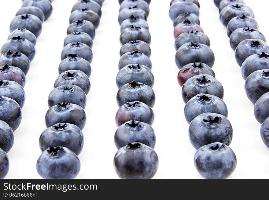 Fresh blueberries put in lines