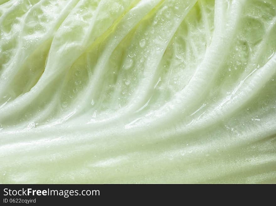 Close Up Of Chinese Cabbage