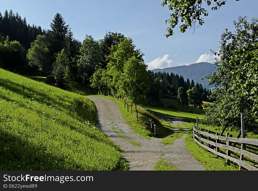 A grassy road junction in a green farmland. Blue skies and white clouds, Austria. A grassy road junction in a green farmland. Blue skies and white clouds, Austria.