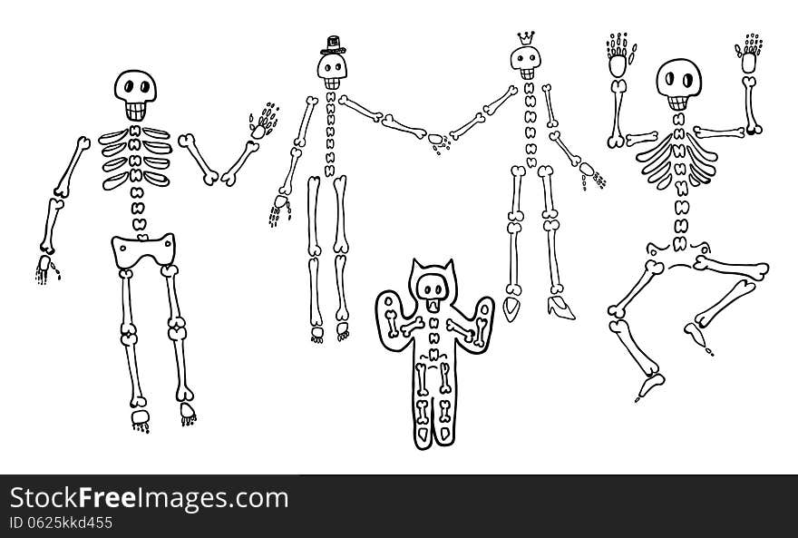 Vector Set Of Hand Drawn Skeletons