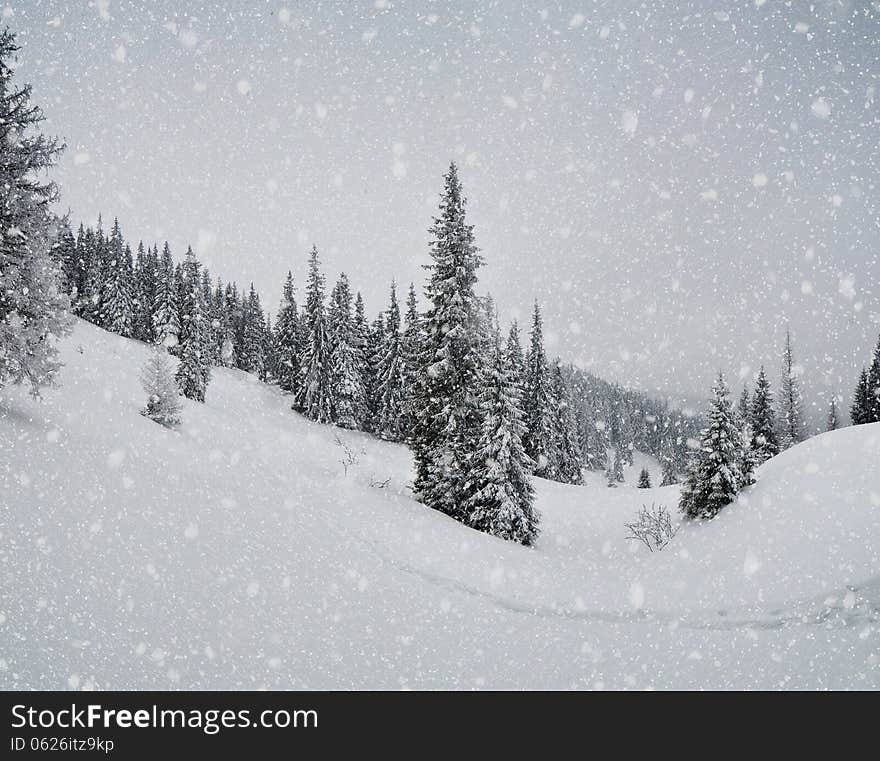 Winter landscape with blowing snow in the mountain valley. Carpathians, Ukraine. Winter landscape with blowing snow in the mountain valley. Carpathians, Ukraine