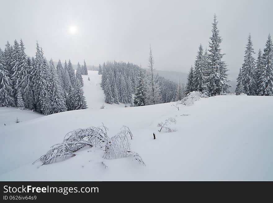 Winter landscape in a mountain valley cloudy day. Ukraine, Carpathians. Winter landscape in a mountain valley cloudy day. Ukraine, Carpathians