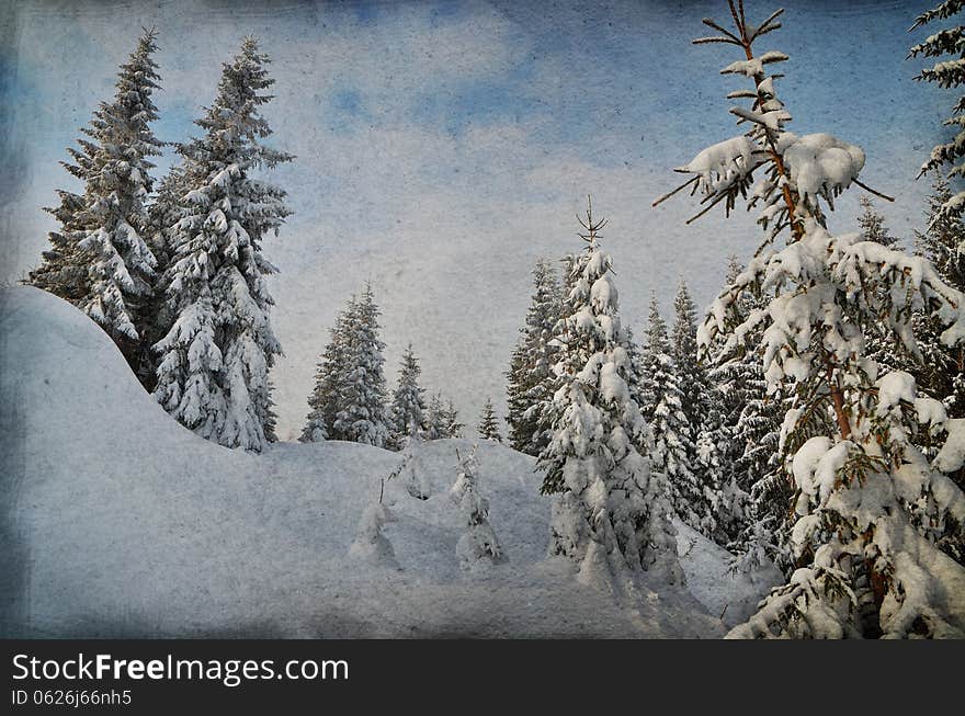 Enchanted forest in dark colors. Winter landscape in the winter forest. Christmas theme. Enchanted forest in dark colors. Winter landscape in the winter forest. Christmas theme