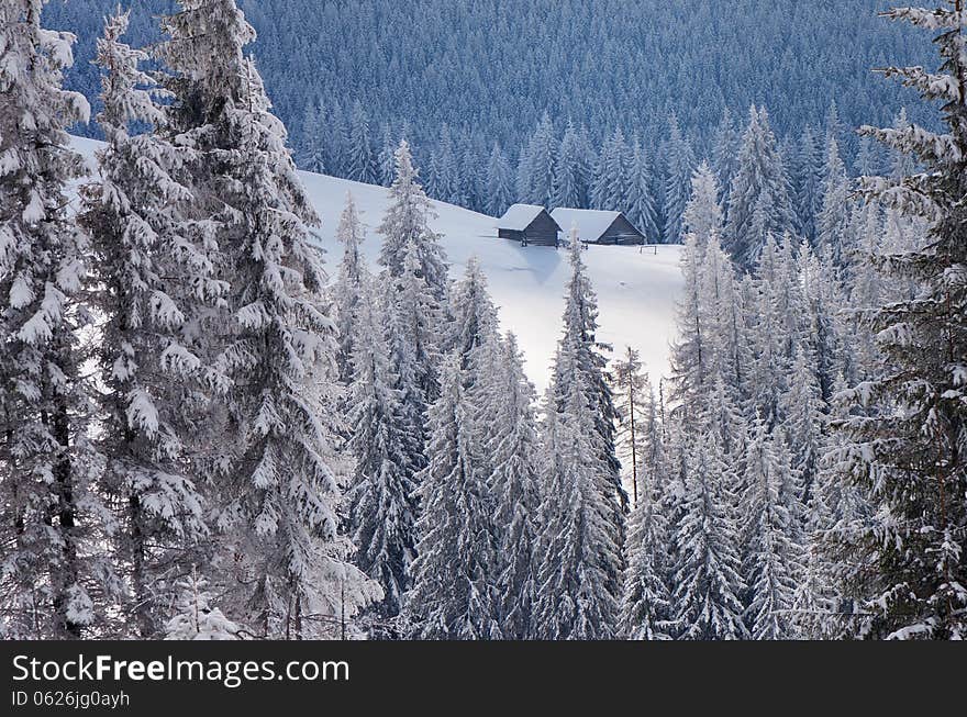 Hut in winter forest