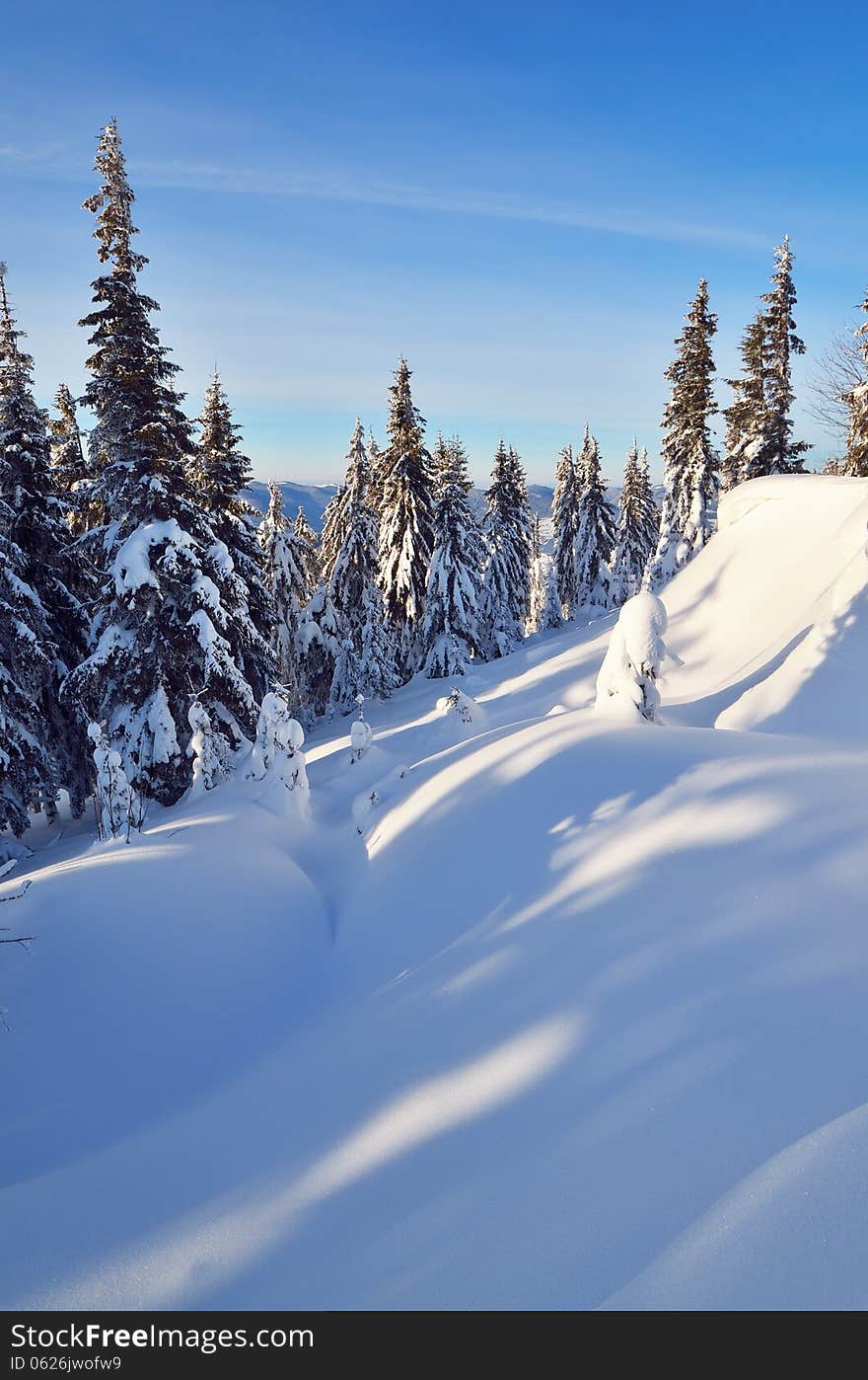 Sunny winter landscape