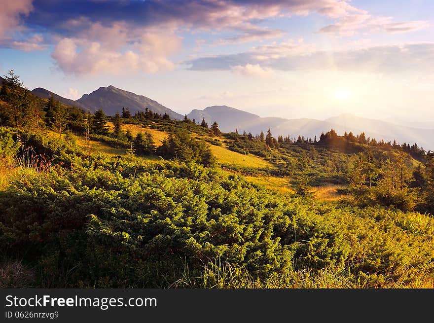 Beautiful landscape on a sunny evening in the mountains. Carpathians, Ukraine