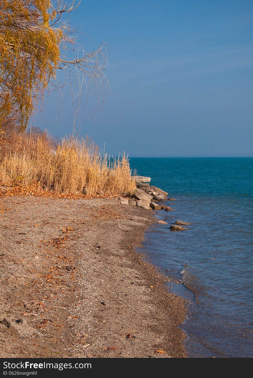 Michigan park along the detroit river in fall. Michigan park along the detroit river in fall