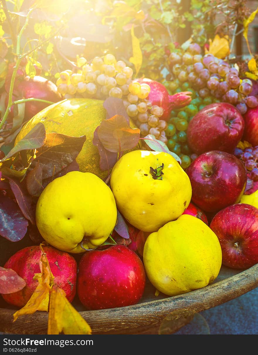 Dish with assorted autumn fruits and leaves