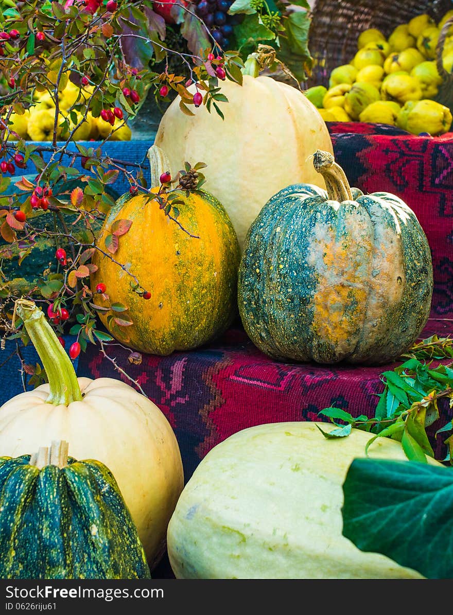 Assorted pumpkins on ethnic carpet