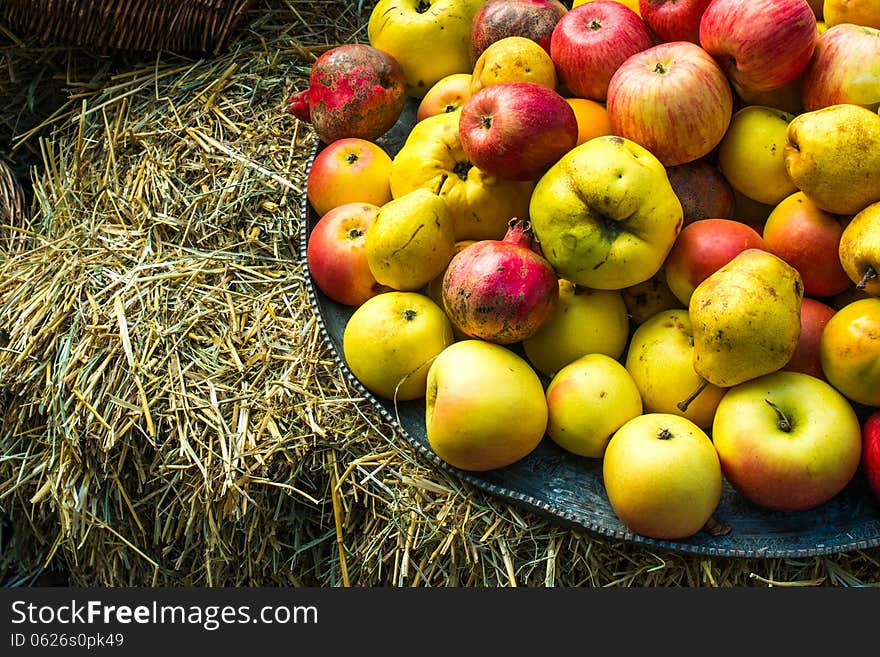 Dish of assorted apples on straw