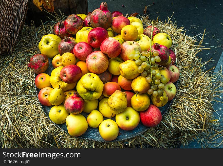 Dish of assorted apples on straw