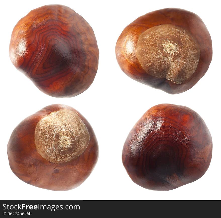 Set of chestnuts. Closeup photo. Set of chestnuts. Closeup photo