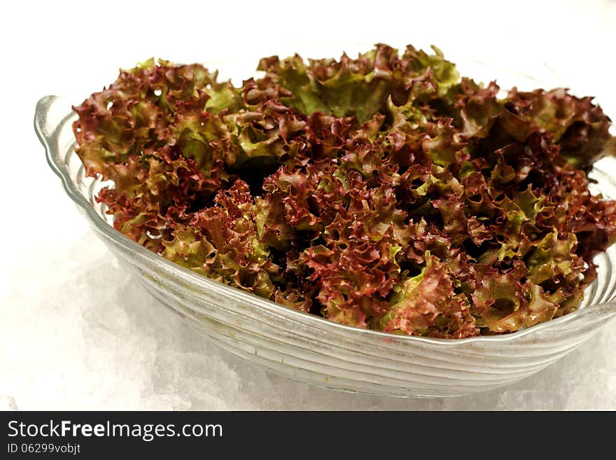 Red cabbage lettuce head in glass bolwe