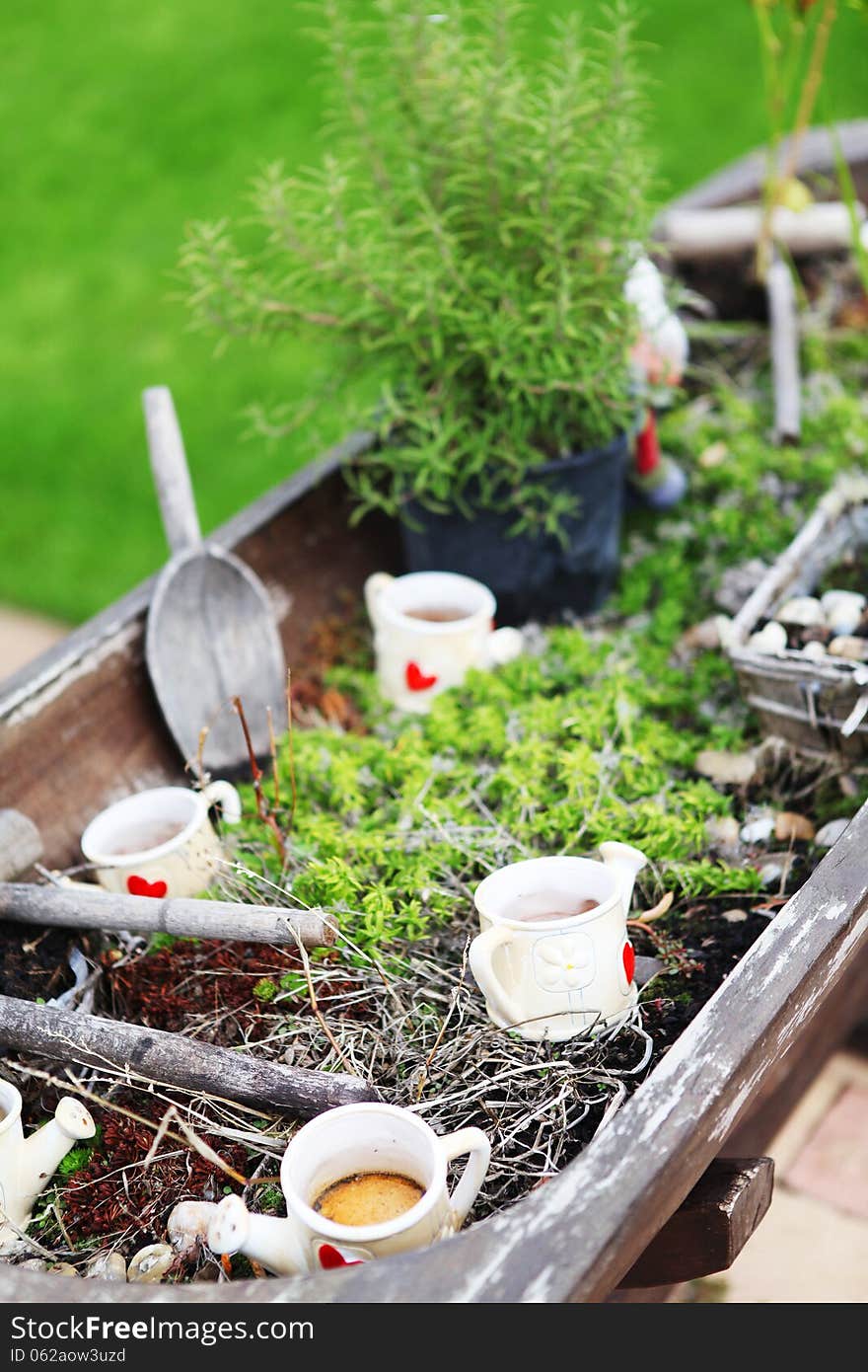 Autumn Gardening