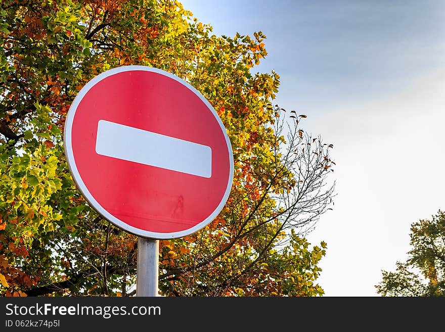 Traffic stop sign on yellowed tree.