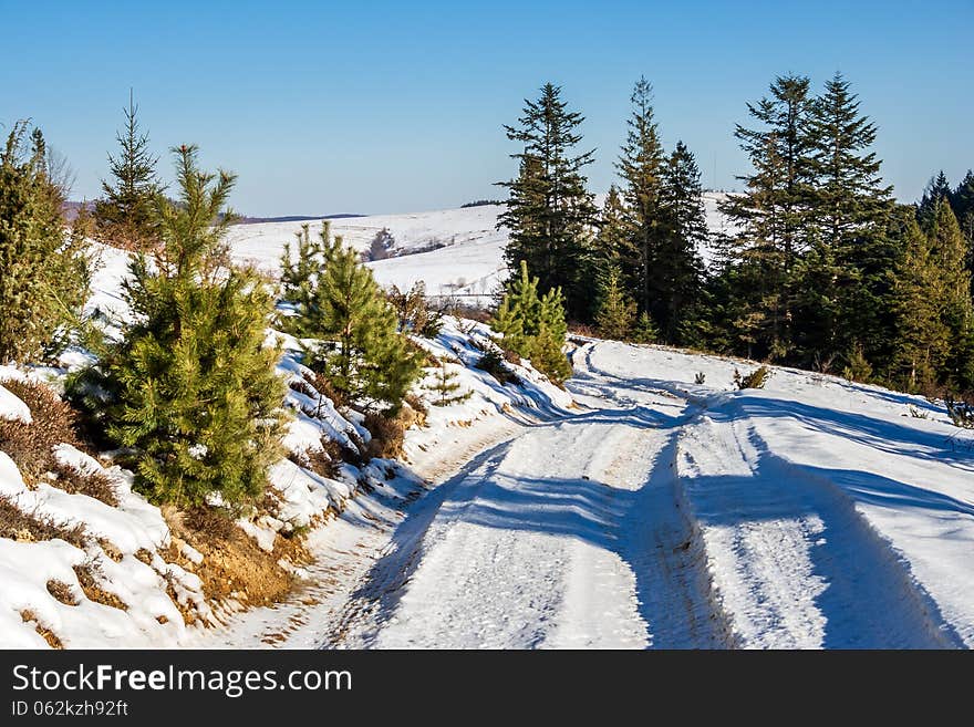 Trees along the winding road leading to the mountain in winter. Trees along the winding road leading to the mountain in winter