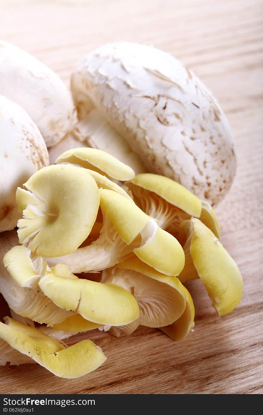 Various types of mushrooms on wooden background of chestnut