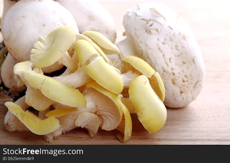 Various types of mushrooms on wooden background of chestnut