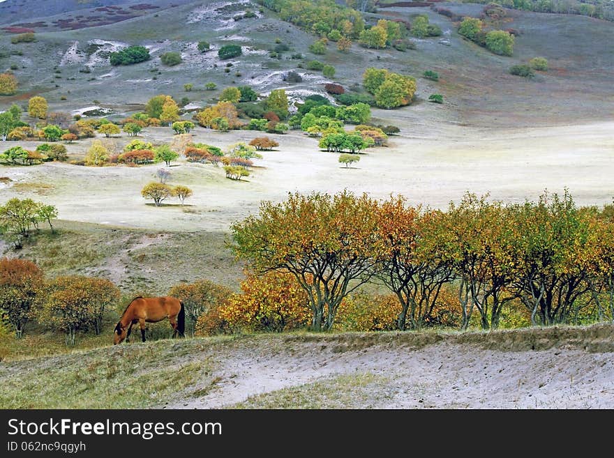 Dam Autumn in Inner Mongolia