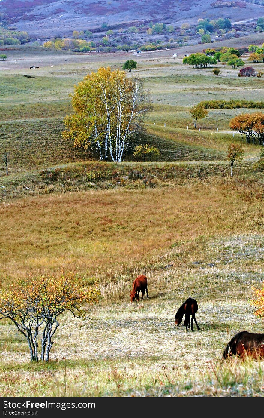 Dam Autumn in Inner Mongolia