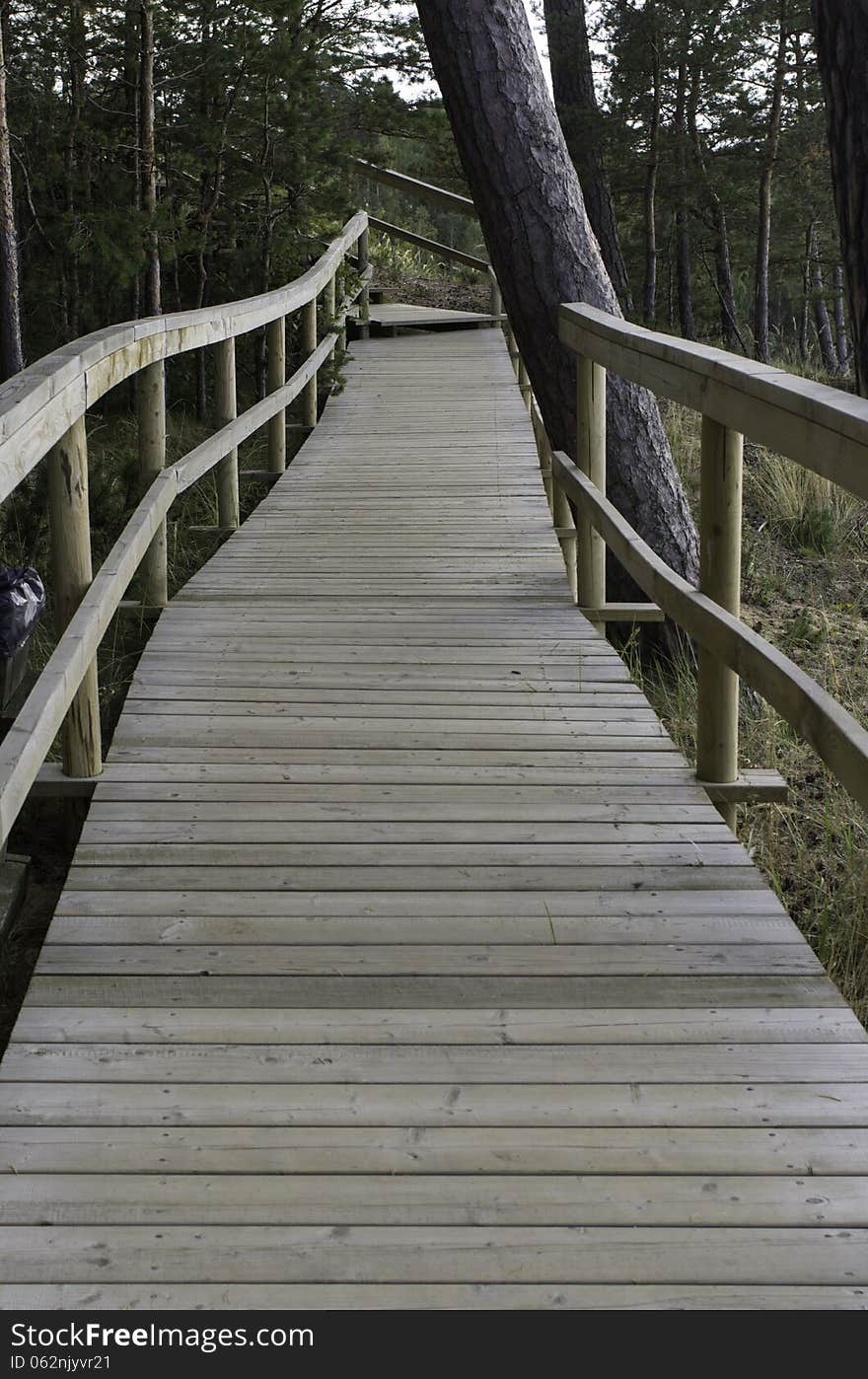 Wooden bridge into the forest in the fall