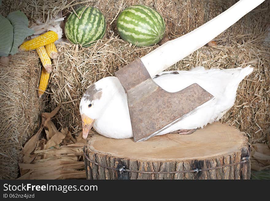 Goose sitting near an ax