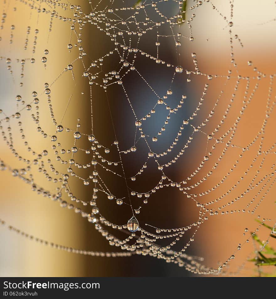 Urban Necklace