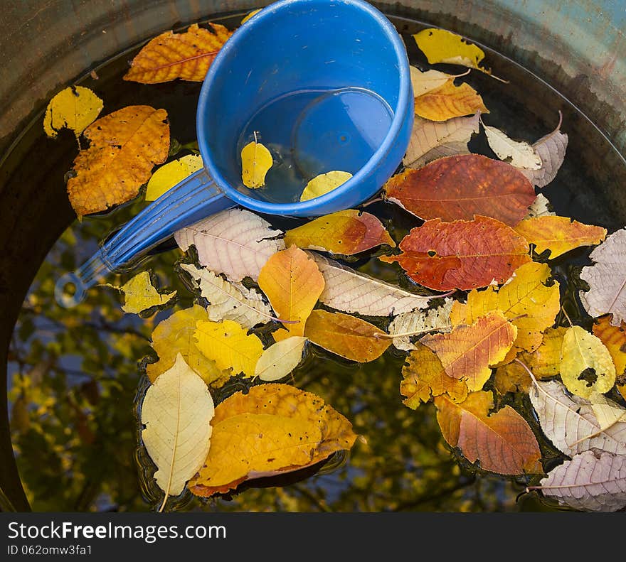 colored leaves in the barrel of the water. colored leaves in the barrel of the water