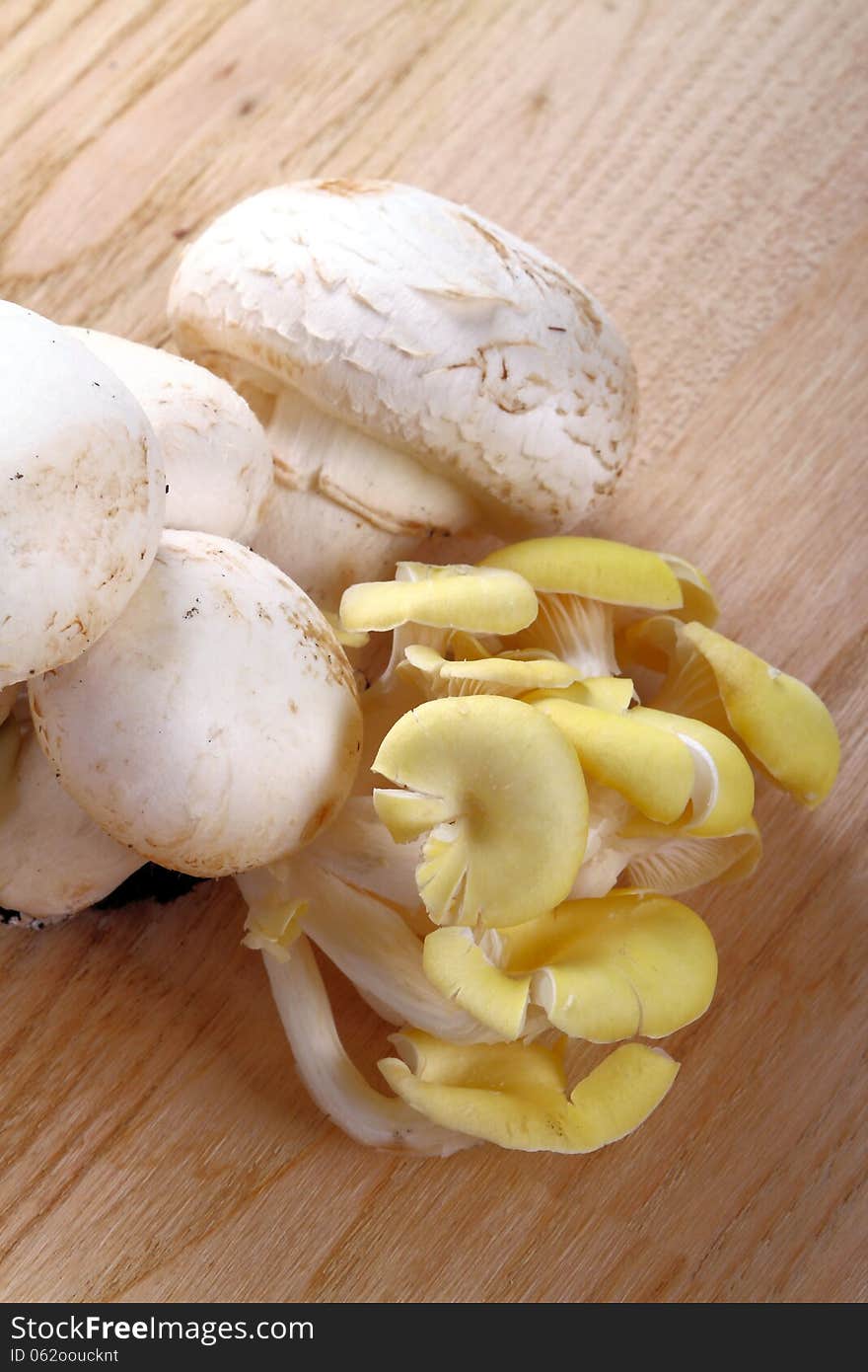 Various types of mushrooms on wooden background of chestnut