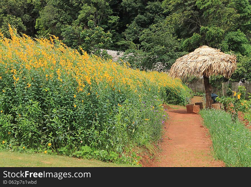 Mon Cham beautiful garden in Chiang mai Thailand