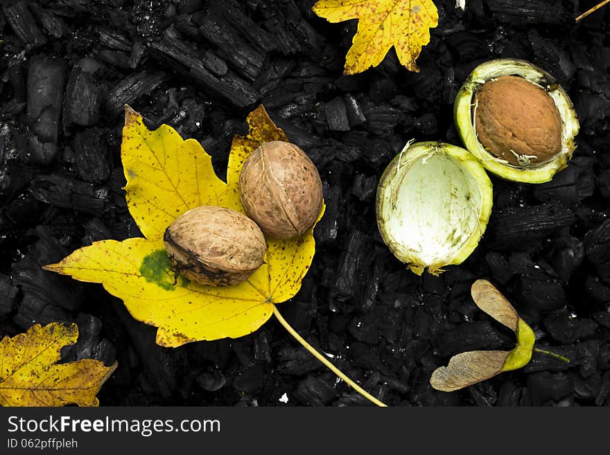 Nuts and autumn leaves on charcoal. Nuts and autumn leaves on charcoal