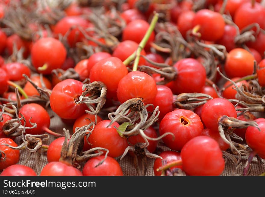 Dry Berries Of Dogrose