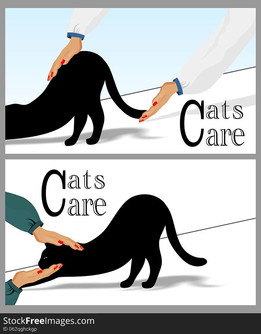 Cats care