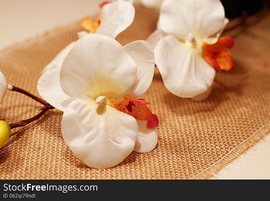 White orchid on a white table and kind mat