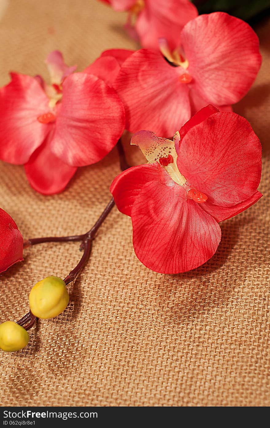 Pink orchid on natural rug